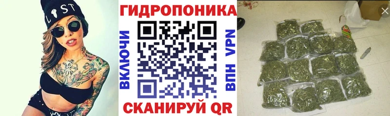 Канабис сатива магазин продажи Велиж